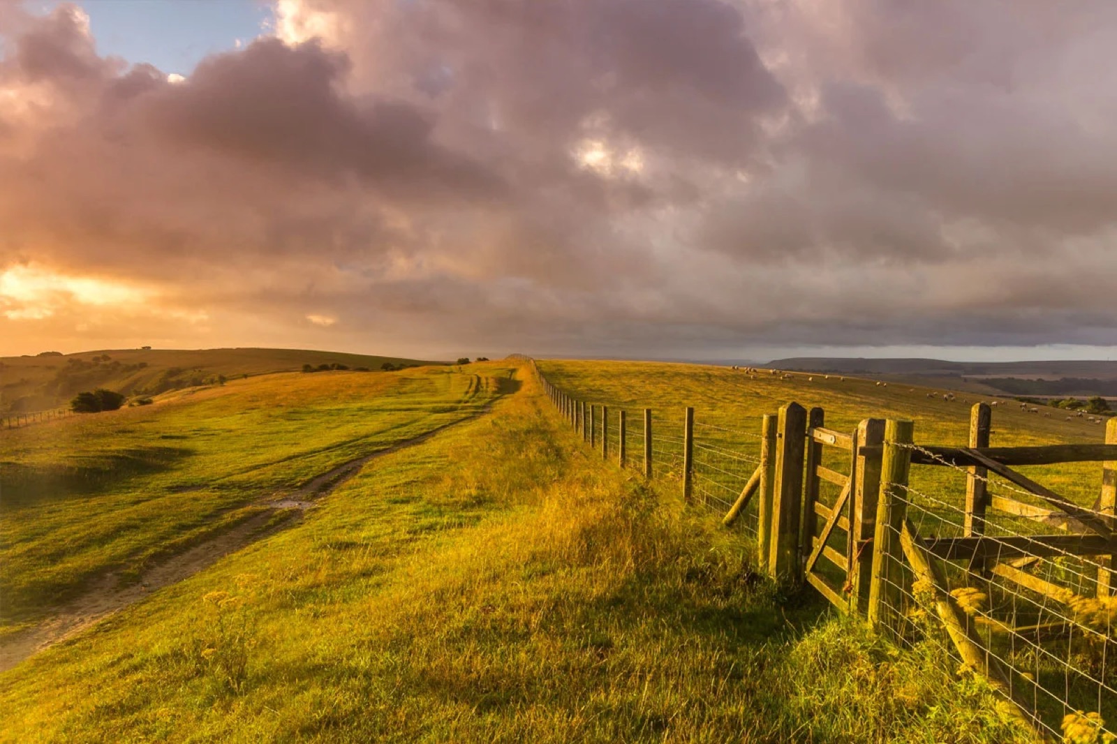 The South Downs near Midhurst, West Sussex